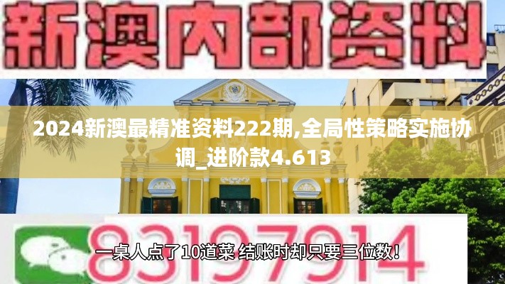 2024新澳最精准资料222期,全局性策略实施协调_进阶款4.613