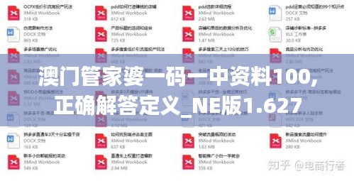 澳门管家婆一码一中资料100,正确解答定义_NE版1.627