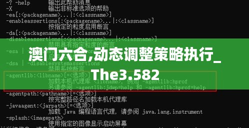 澳门六合,动态调整策略执行_The3.582