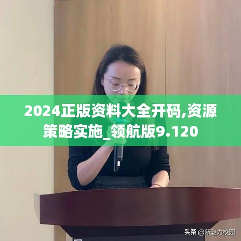 2024正版资料大全开码,资源策略实施_领航版9.120