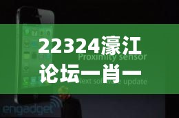 22324濠江论坛一肖一码,迅捷解答方案实施_iPhone8.837