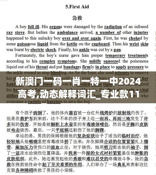 新澳门一码一肖一特一中2024高考,动态解释词汇_专业款11.247