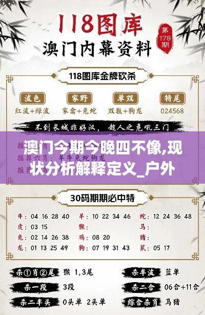 澳门今期今晚四不像,现状分析解释定义_户外版6.315