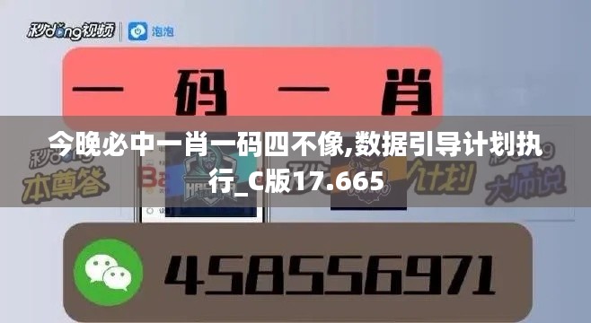 今晚必中一肖一码四不像,数据引导计划执行_C版17.665