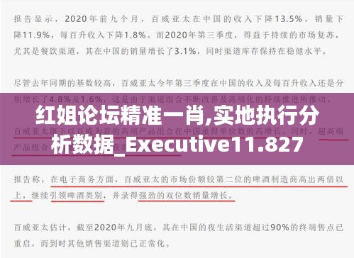 红姐论坛精准一肖,实地执行分析数据_Executive11.827