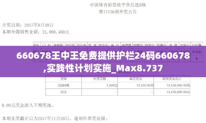 660678王中王免费提供护栏24码660678,实践性计划实施_Max8.737