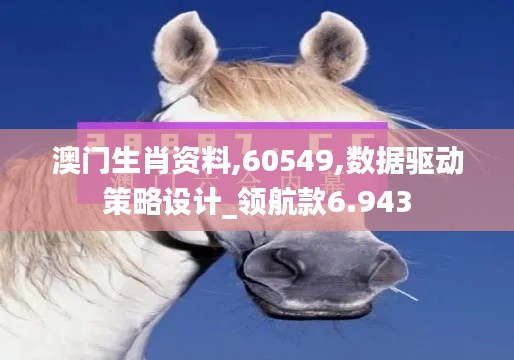 澳门生肖资料,60549,数据驱动策略设计_领航款6.943