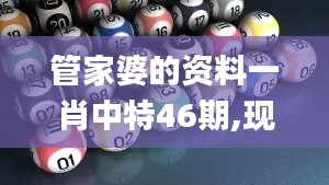 管家婆的资料一肖中特46期,现象解答解释定义_C版14.965