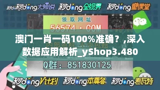 澳门一肖一码100%准确？,深入数据应用解析_yShop3.480