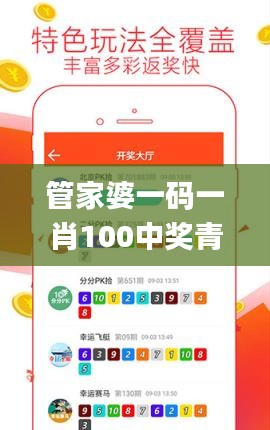 管家婆一码一肖100中奖青岛,创新策略解析_精英款8.267