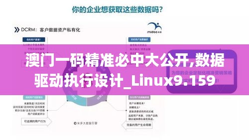 澳门一码精准必中大公开,数据驱动执行设计_Linux9.159