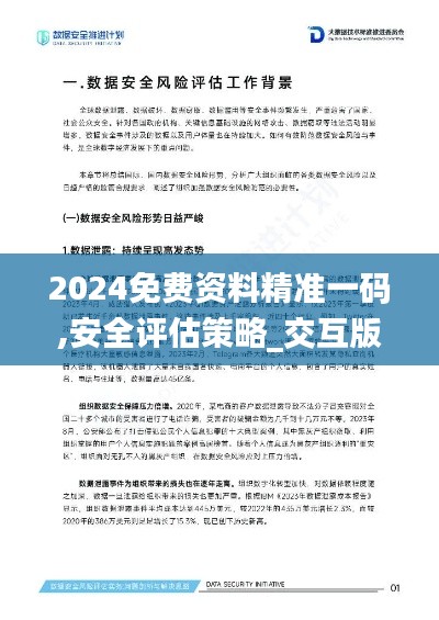 2024免费资料精准一码,安全评估策略_交互版1.849