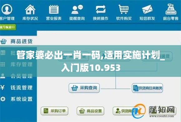 管家婆必出一肖一码,适用实施计划_入门版10.953