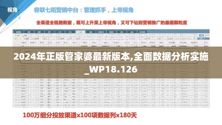 2024年正版管家婆最新版本,全面数据分析实施_WP18.126