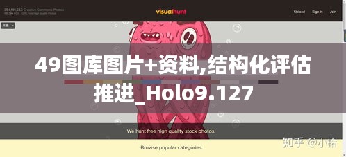 49图库图片+资料,结构化评估推进_Holo9.127