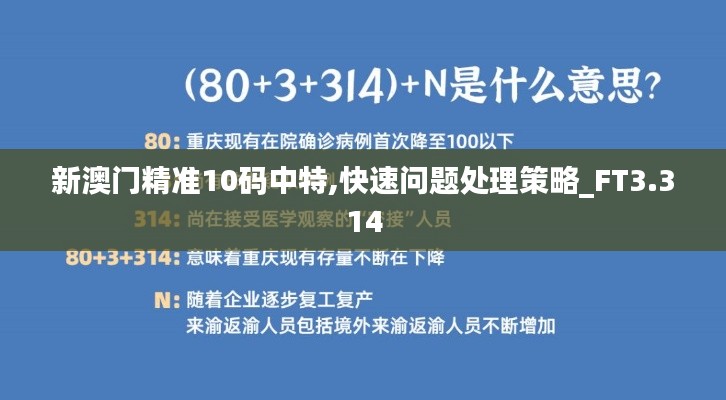 新澳门精准10码中特,快速问题处理策略_FT3.314