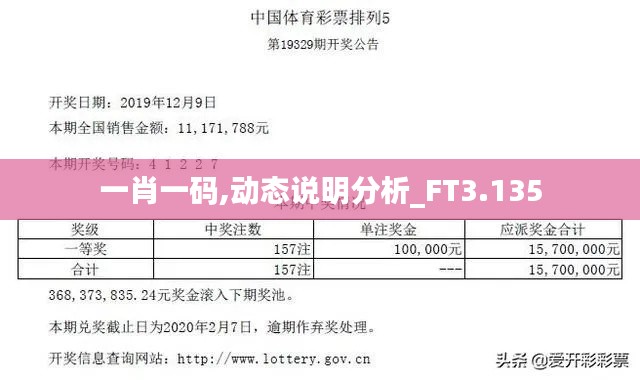 一肖一码,动态说明分析_FT3.135