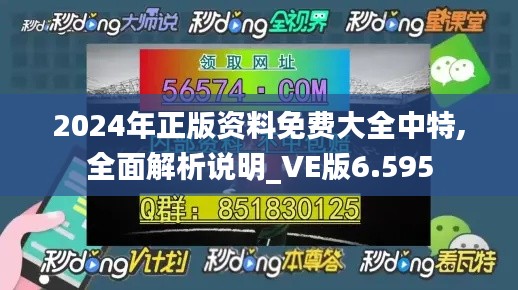 2024年正版资料免费大全中特,全面解析说明_VE版6.595