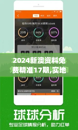 2024新澳资料免费精准17期,实地考察数据分析_D版5.350