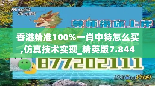 香港精准100%一肖中特怎么买,仿真技术实现_精英版7.844