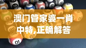 澳门管家婆一肖中特,正确解答定义_5DM1.206