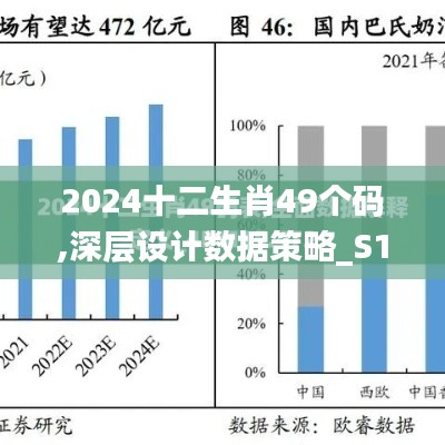 2024十二生肖49个码,深层设计数据策略_S13.916