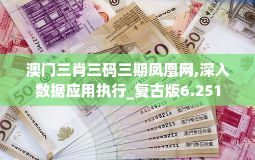 澳门三肖三码三期凤凰网,深入数据应用执行_复古版6.251