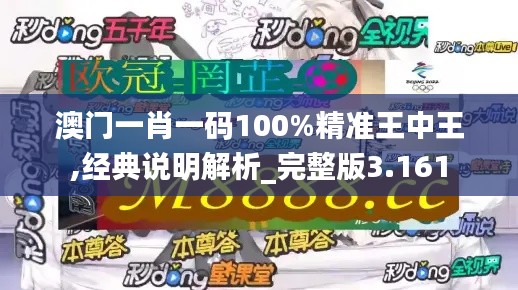 澳门一肖一码100%精准王中王,经典说明解析_完整版3.161