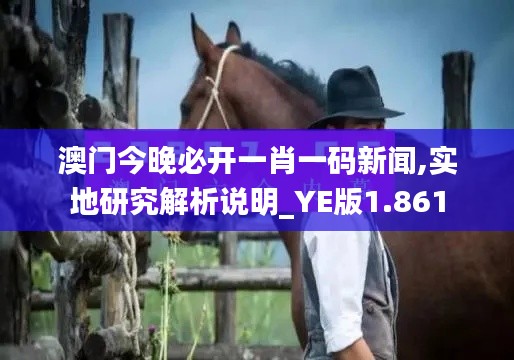 澳门今晚必开一肖一码新闻,实地研究解析说明_YE版1.861