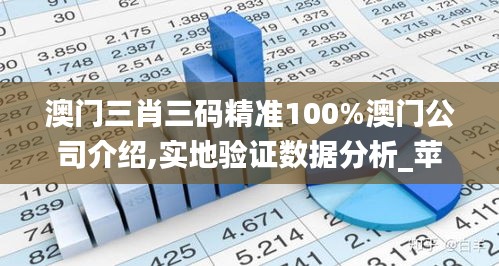 澳门三肖三码精准100%澳门公司介绍,实地验证数据分析_苹果款4.247