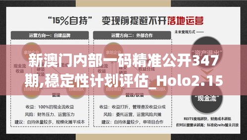 新澳门内部一码精准公开347期,稳定性计划评估_Holo2.154