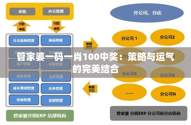 管家婆一码一肖100中奖：策略与运气的完美结合