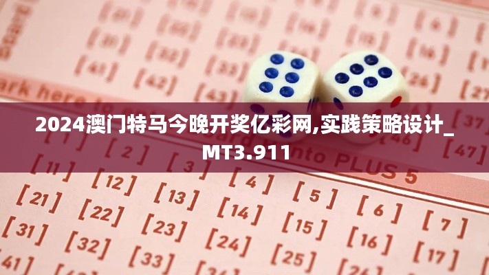 2024澳门特马今晚开奖亿彩网,实践策略设计_MT3.911