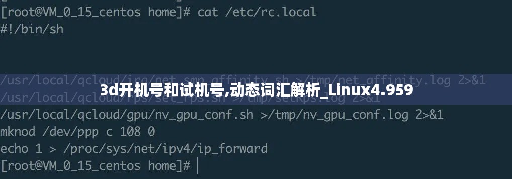 3d开机号和试机号,动态词汇解析_Linux4.959