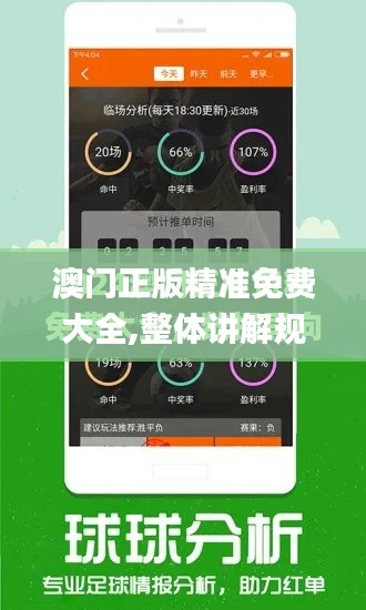 澳门正版精准免费大全,整体讲解规划_Premium9.369