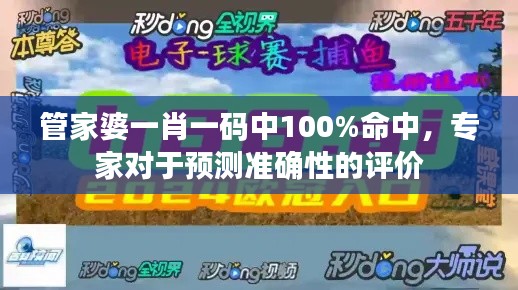 管家婆一肖一码中100%命中，专家对于预测准确性的评价