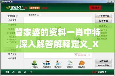 管家婆的资料一肖中特,深入解答解释定义_XT9.223