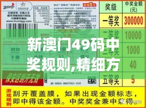 新澳门49码中奖规则,精细方案实施_yShop10.191