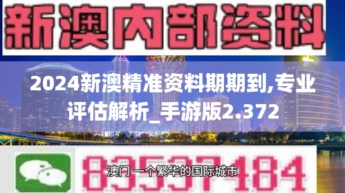 2024新澳精准资料期期到,专业评估解析_手游版2.372