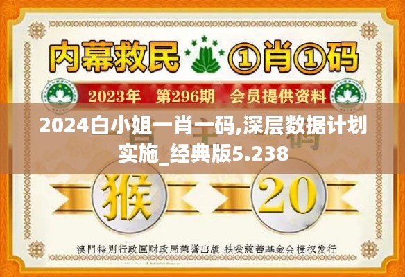 2024白小姐一肖一码,深层数据计划实施_经典版5.238