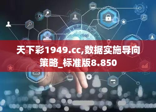 天下彩1949.cc,数据实施导向策略_标准版8.850