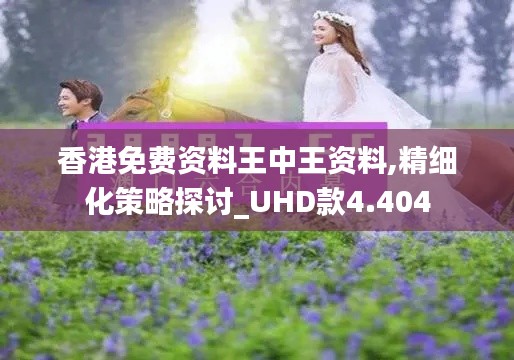 香港免费资料王中王资料,精细化策略探讨_UHD款4.404