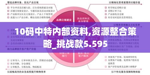 10码中特内部资料,资源整合策略_挑战款5.595