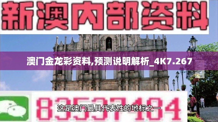 澳门金龙彩资料,预测说明解析_4K7.267