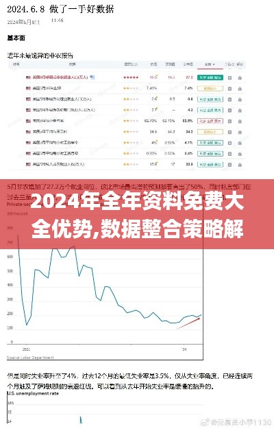 2024年全年资料免费大全优势,数据整合策略解析_入门版2.112