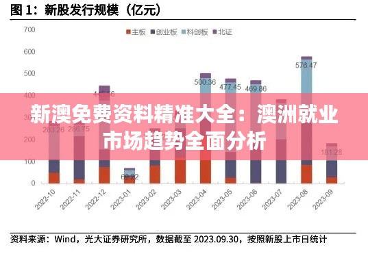 新澳免费资料精准大全：澳洲就业市场趋势全面分析