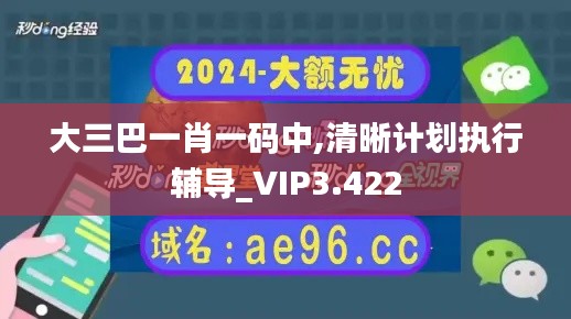 大三巴一肖一码中,清晰计划执行辅导_VIP3.422