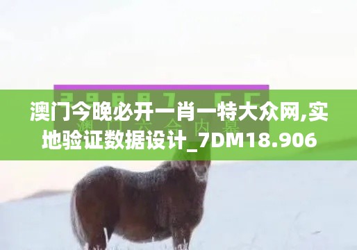 澳门今晚必开一肖一特大众网,实地验证数据设计_7DM18.906