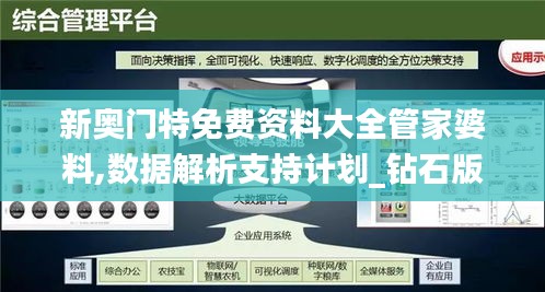 新奥门特免费资料大全管家婆料,数据解析支持计划_钻石版6.311