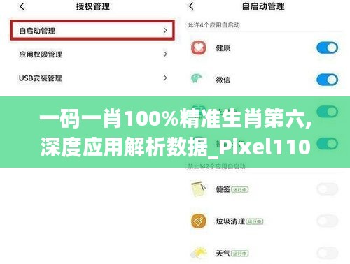 一码一肖100%精准生肖第六,深度应用解析数据_Pixel110.641